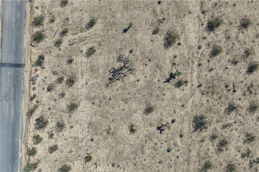 MLS #JT25246822 image #0