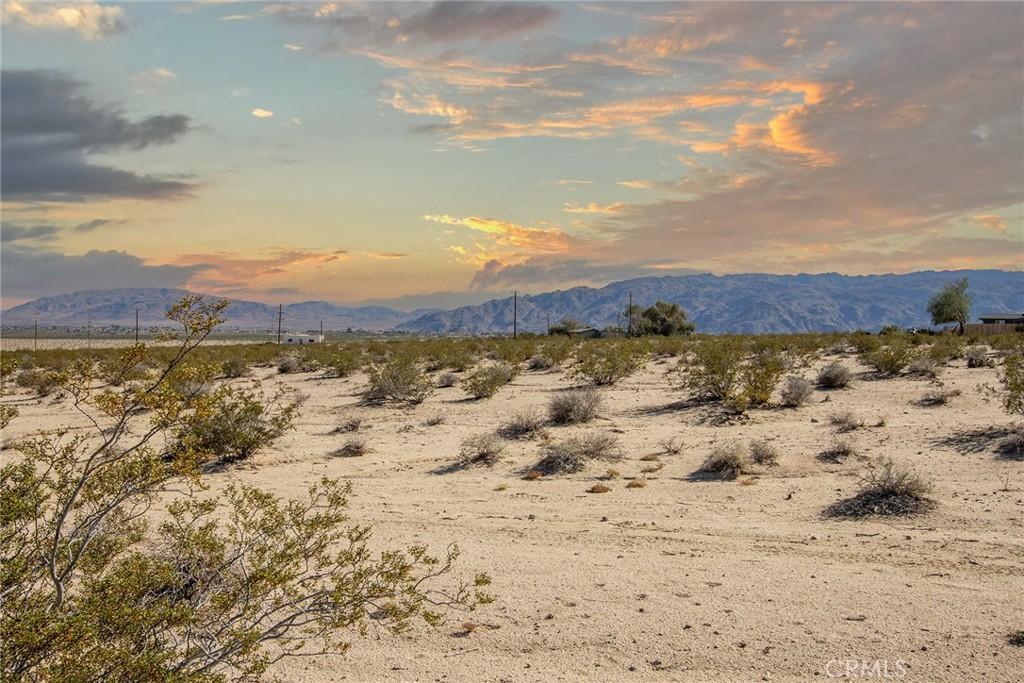 MLS #JT25255068 image #0