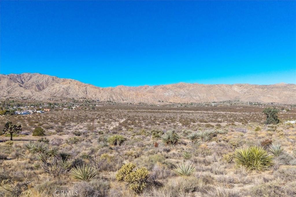 MLS #JT25257903 image #0