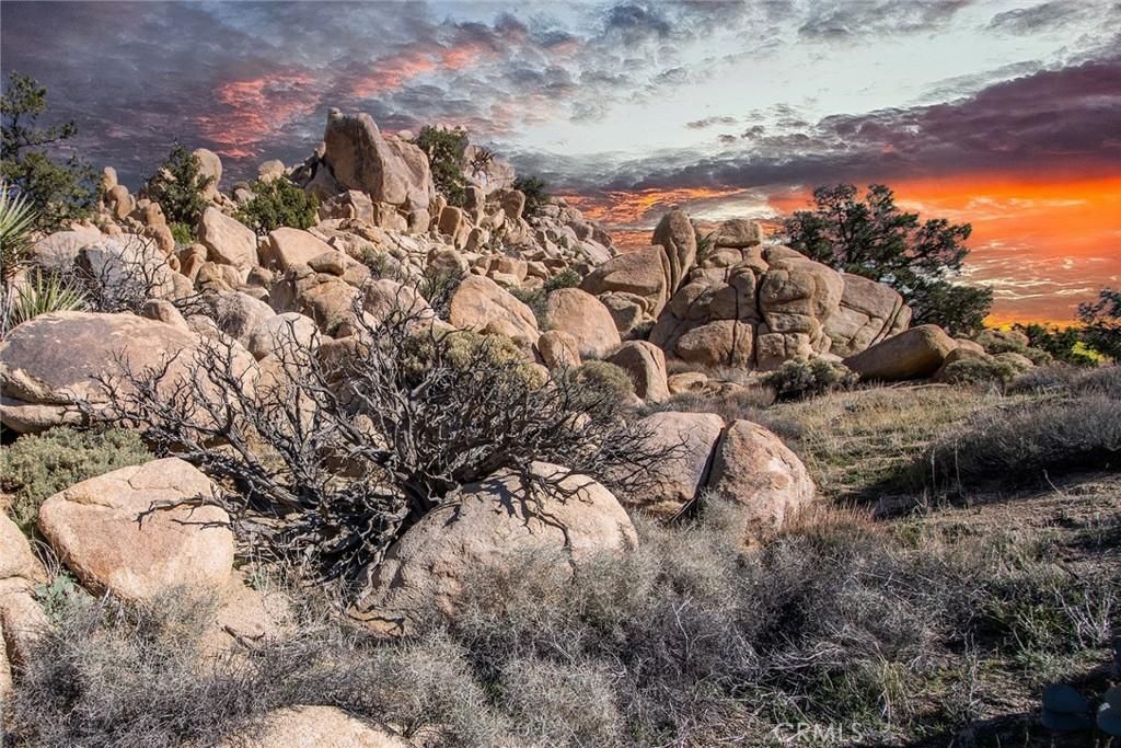 MLS #JT26000019 image #0