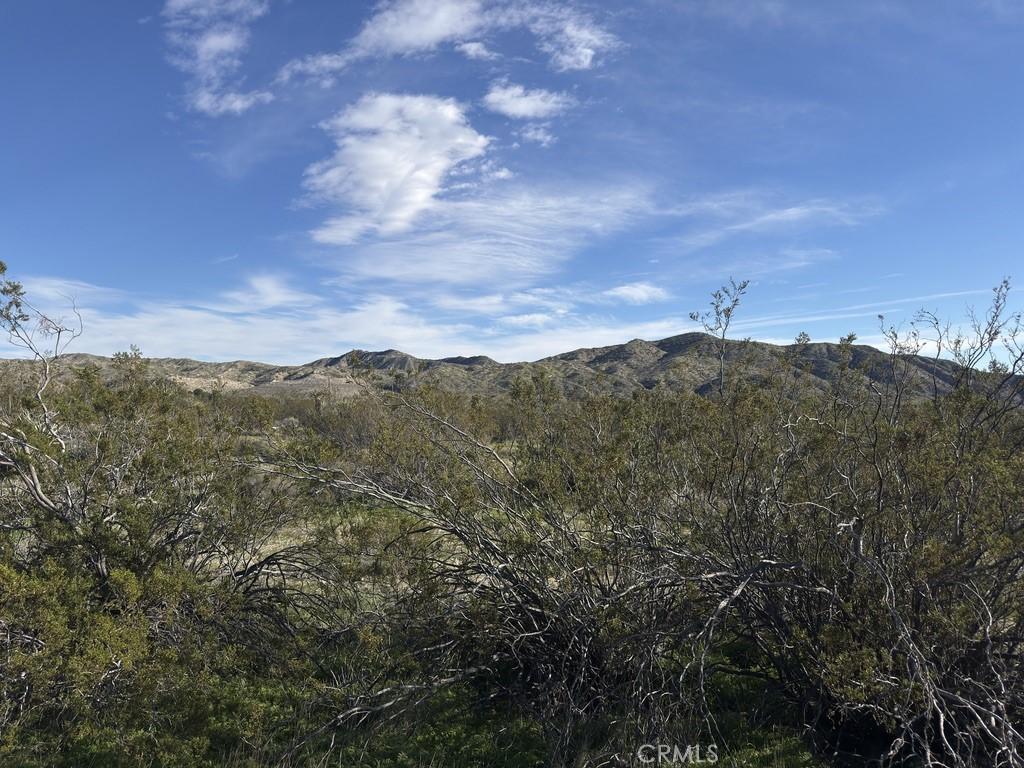 MLS #JT26010596 image #0