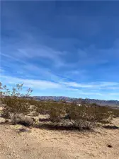 broker reciprocity