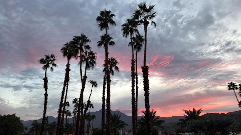 MLS #PTP2600089 image #0