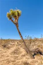 broker reciprocity