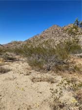 MLS #RS24089669 image #0