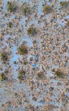 MLS #RS25185171 image #0