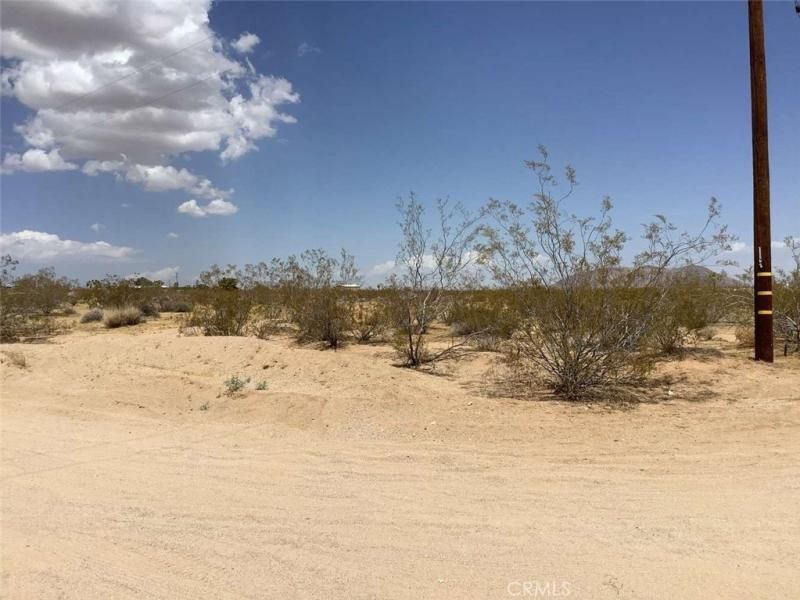 MLS #RW24175008 image #0