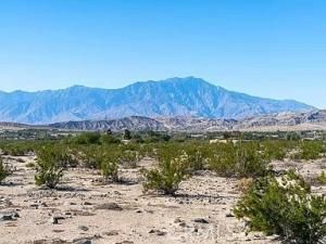 MLS #SB25012424 image #0