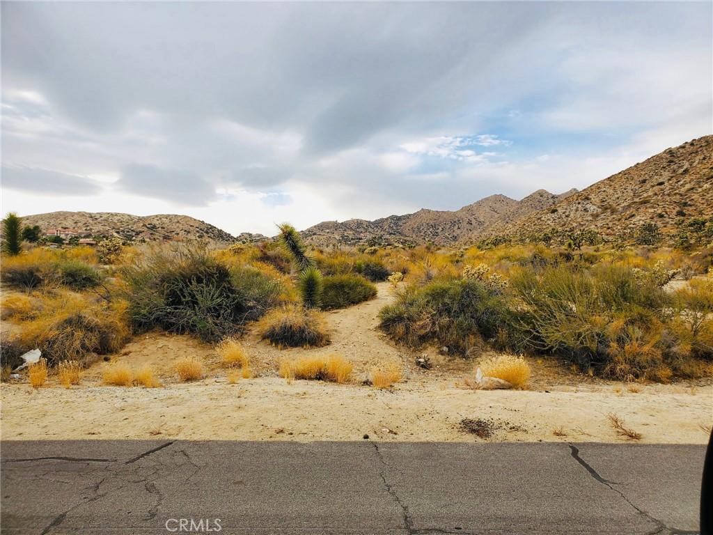 MLS #SB25140350 image #0