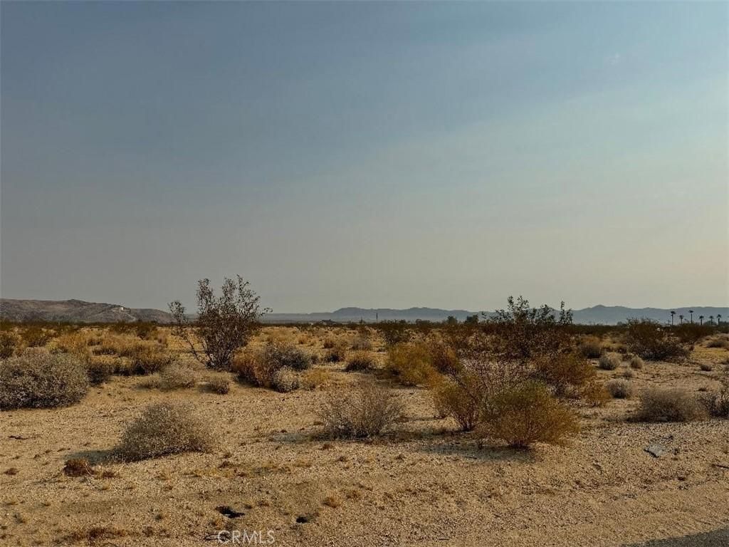 MLS #SW24188361 image #0