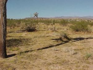 MLS #SW25017826 image #0