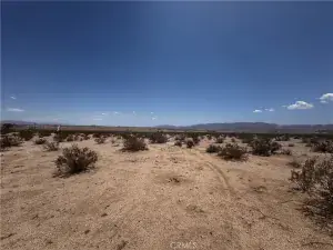 broker reciprocity