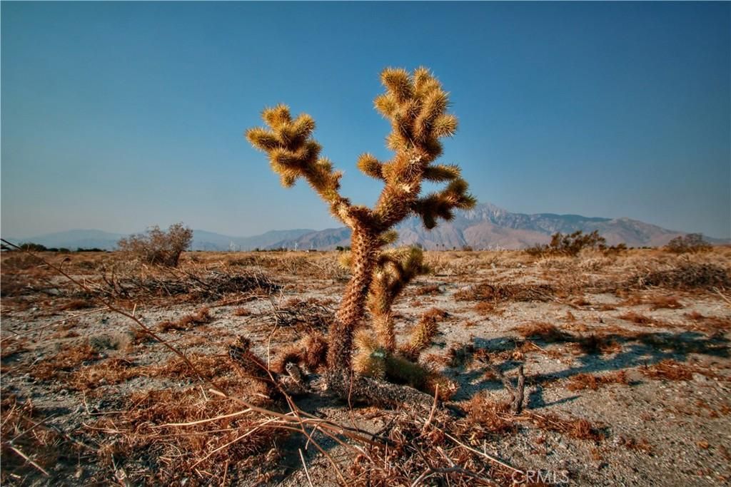 MLS #SW25158791 image #0