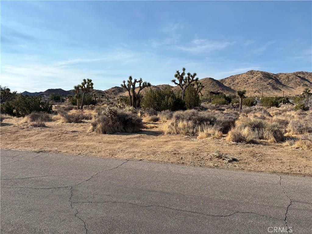 MLS #SW25190619 image #0