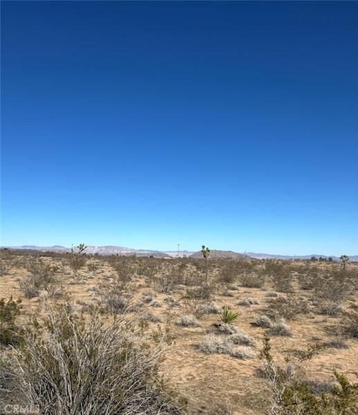 MLS #SW25265380 image #0