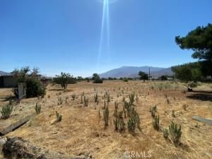 MLS #TR24179086 image #0