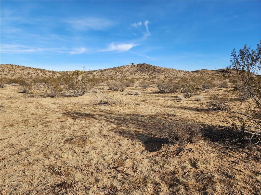 MLS #WS23203577 image #0