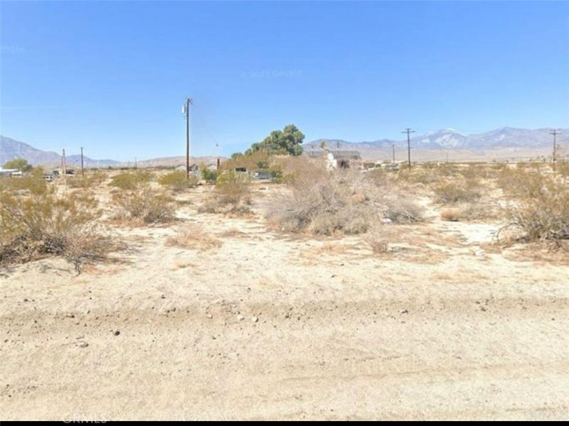 MLS #WS24055398 image #0