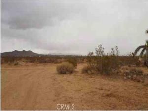 MLS #WS25110489 image #0