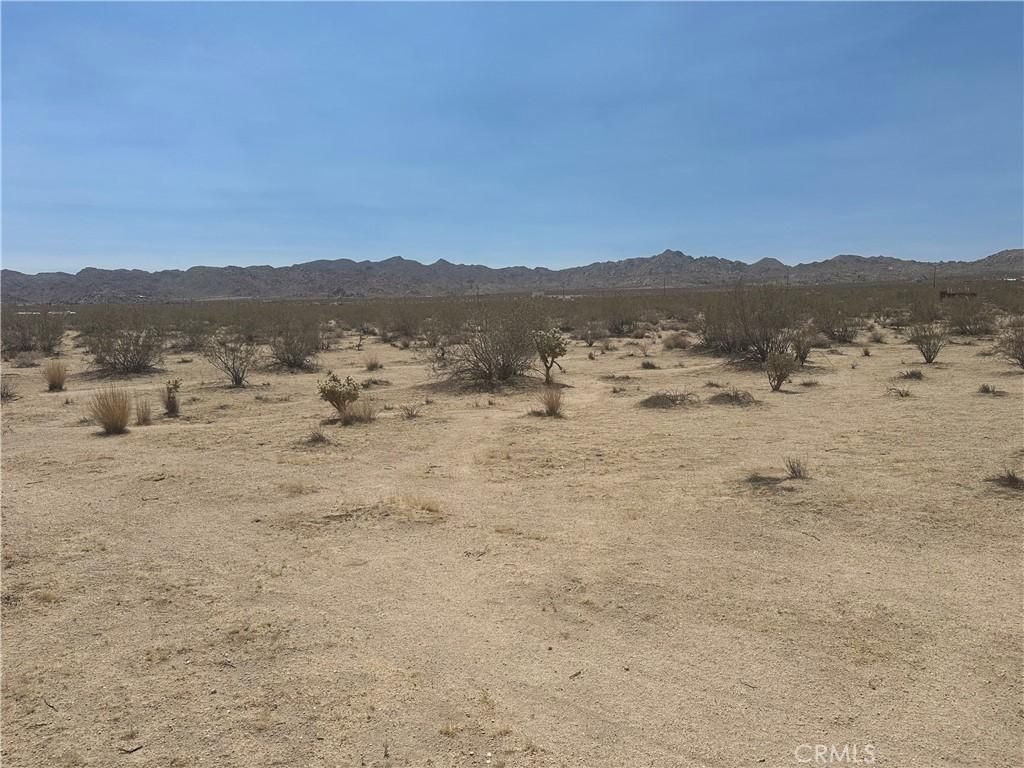 MLS #WS25144449 image #0