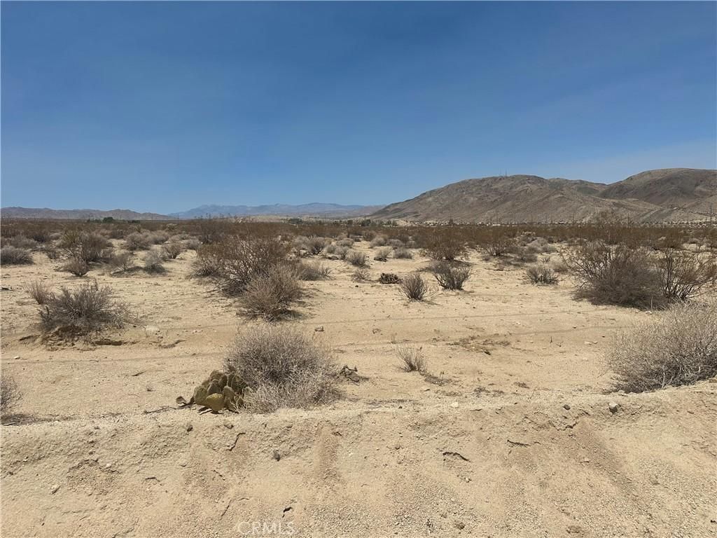 MLS #WS25144506 image #0