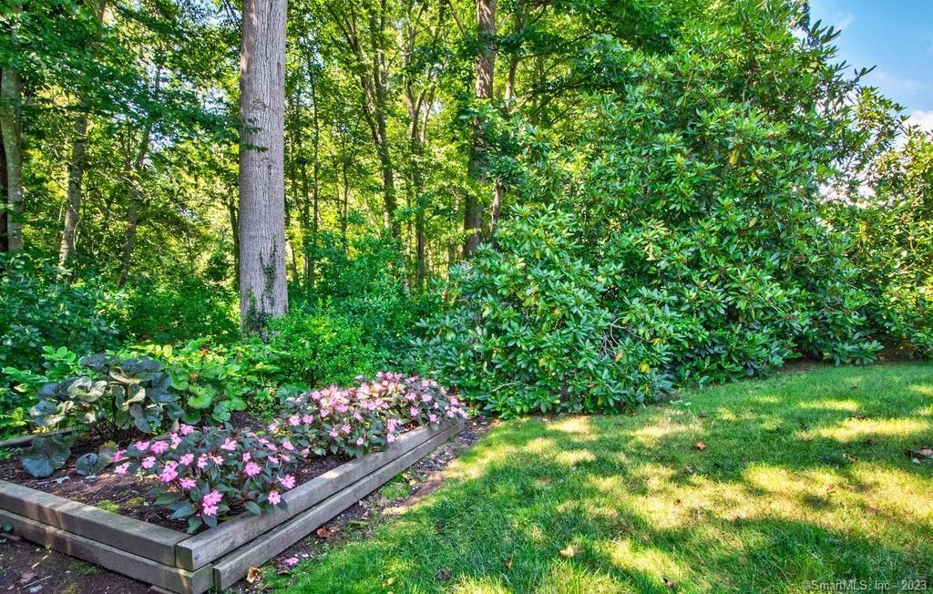 MLS #170592463 image #5