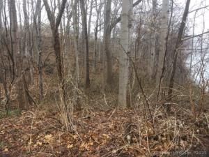 MLS #24095425 image #0