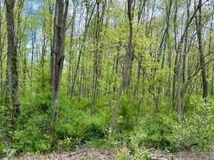 MLS #24109109 image #0