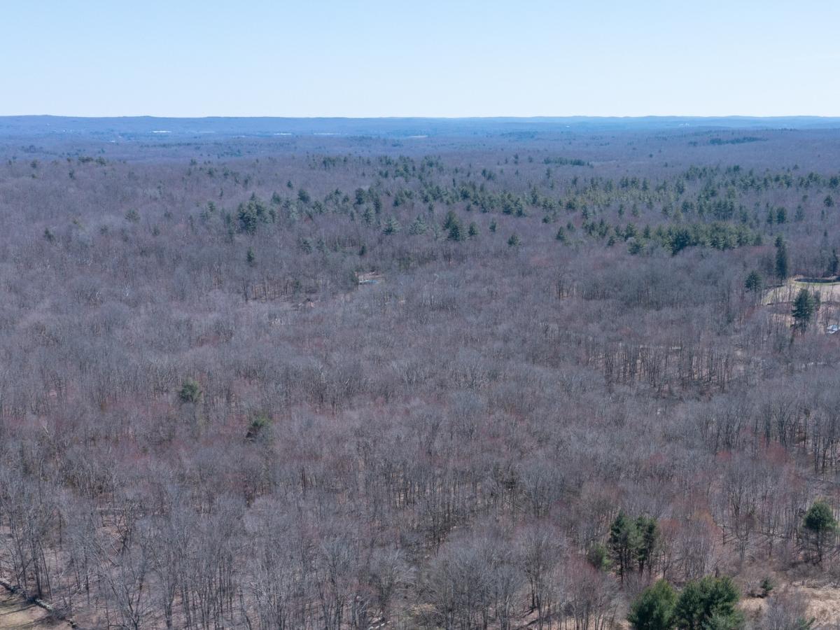 MLS #24124218 image #0