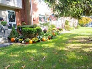 MLS #24128765 image #0