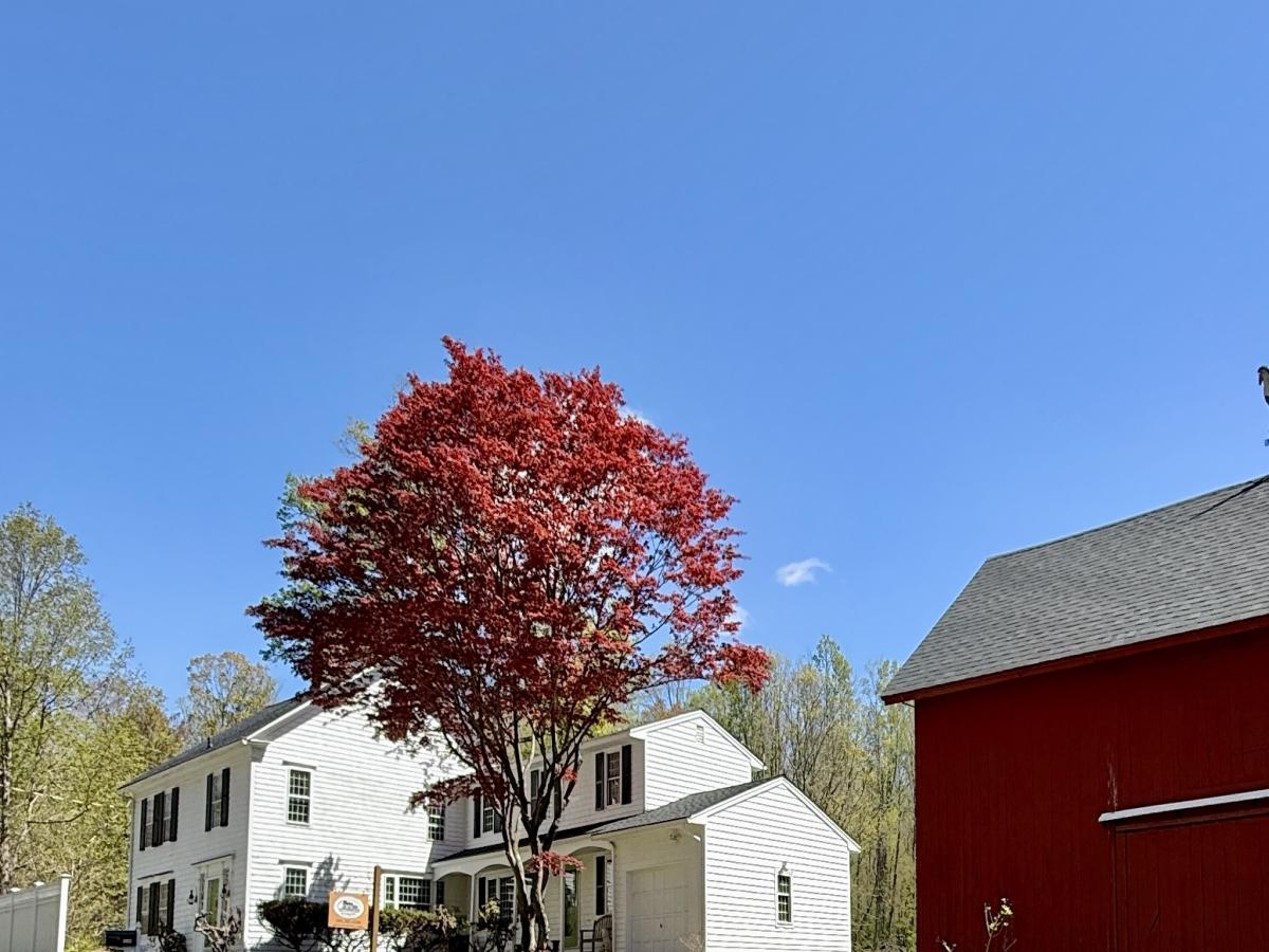 MLS #24139265 image #0