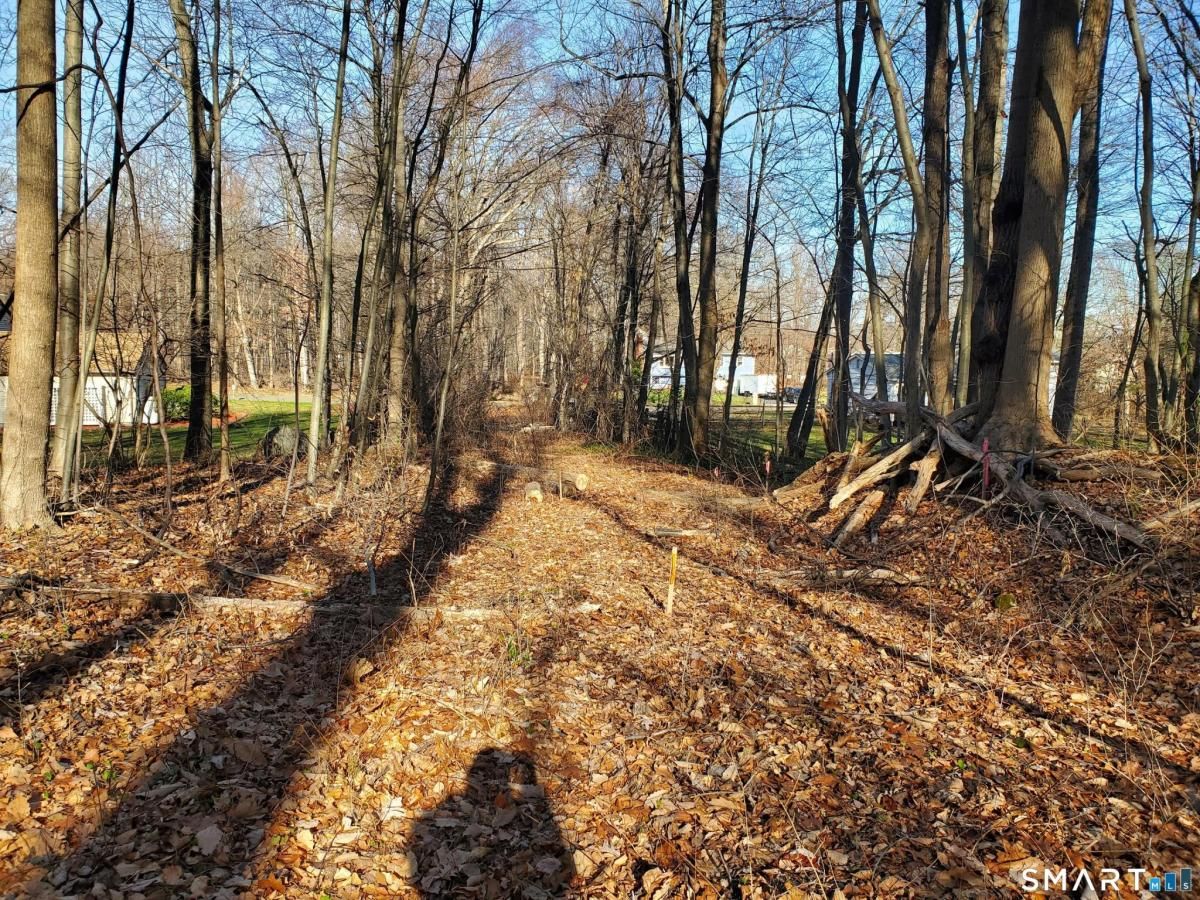 MLS #24144986 image #0