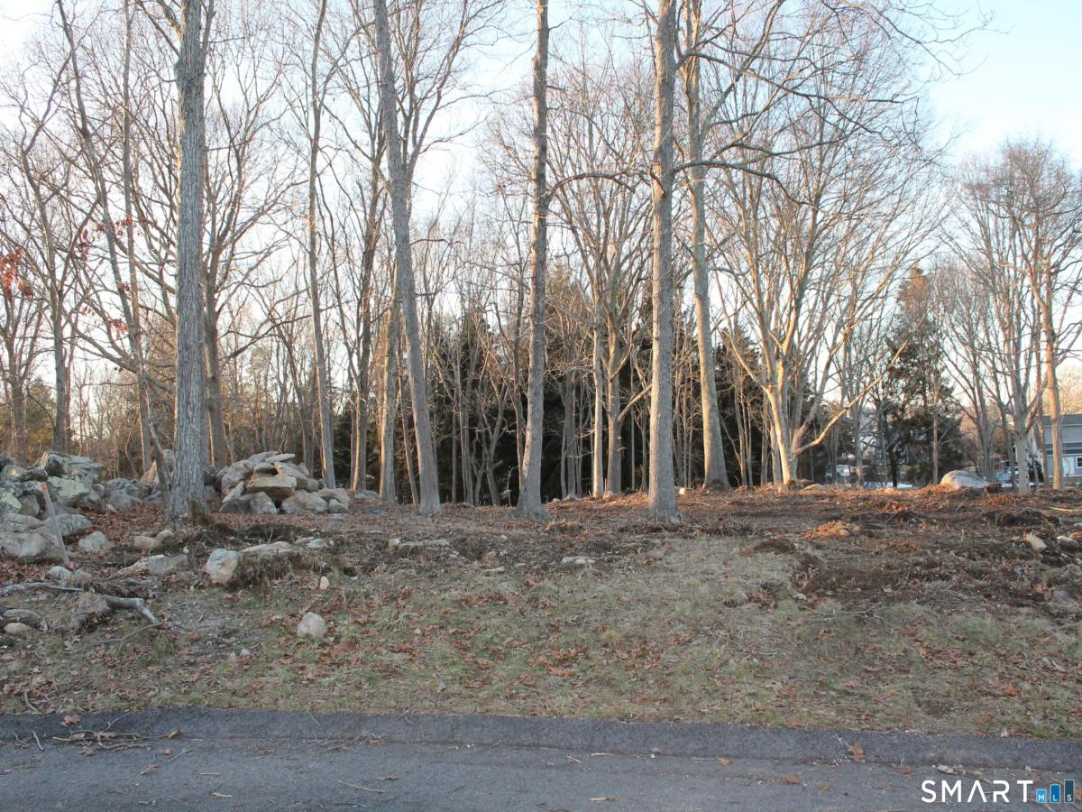 MLS #24158818 image #0