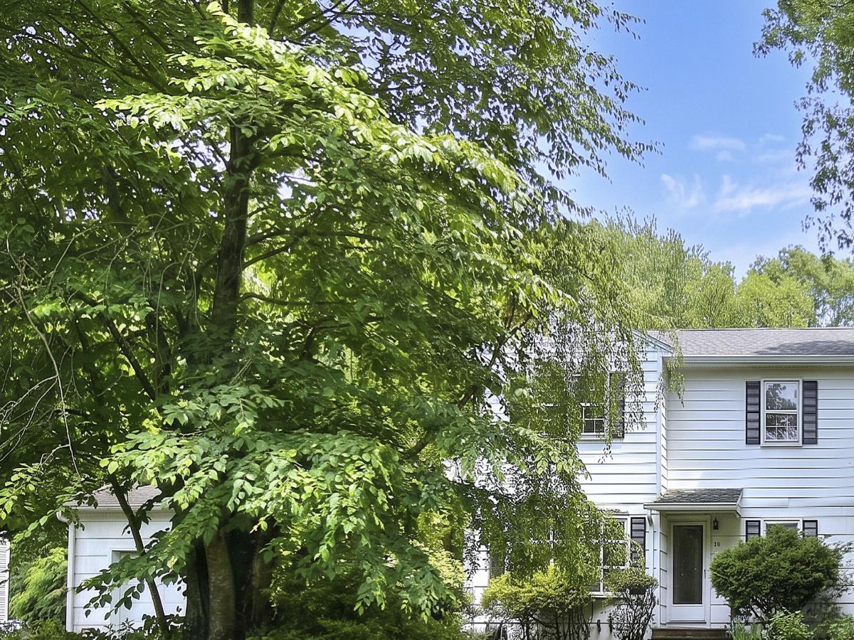 MLS #24186148 image #0