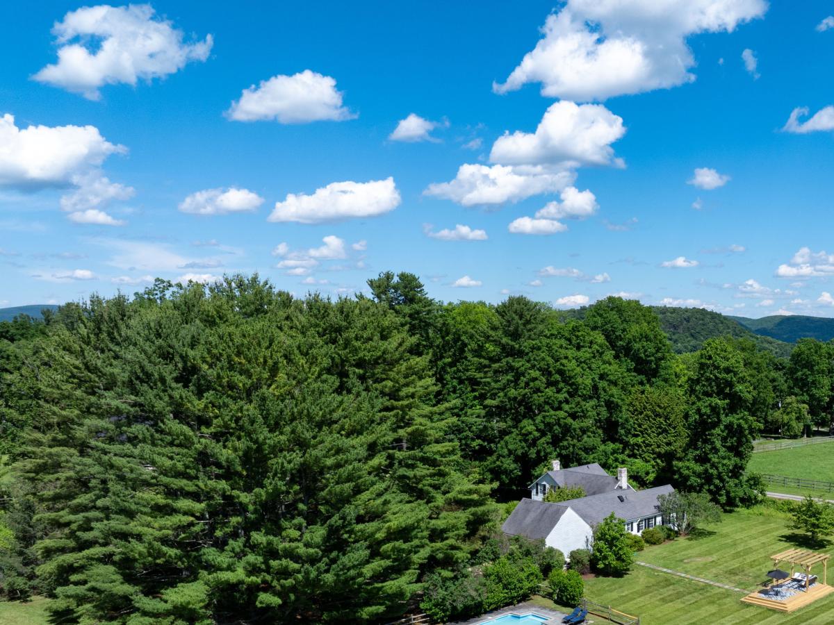 MLS #24190420 image #0