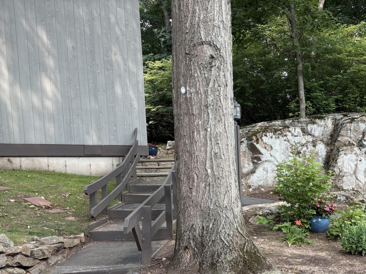 MLS #24194841 image #0