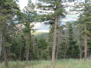 MLS #103441 image #0