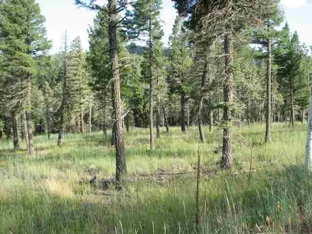 Lot 11 Palo Flechado Ridge Road