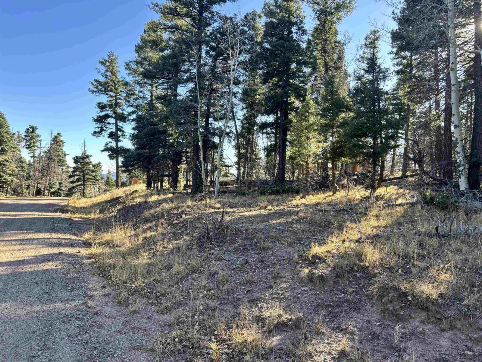 Lot 302 Vail Overlook