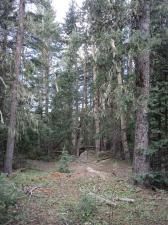 MLS #106166 image #0