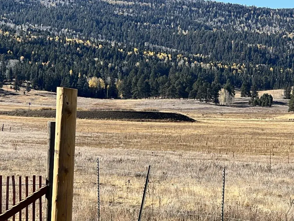 Lot 17 Laguna Negra Circle