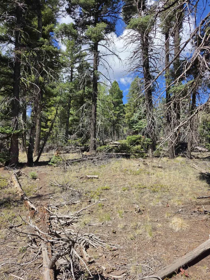 357 vail loop