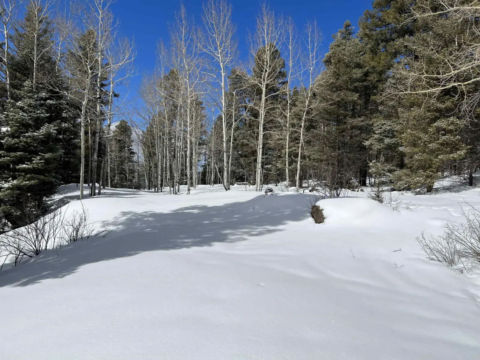 Lot 1124 El Camino Real