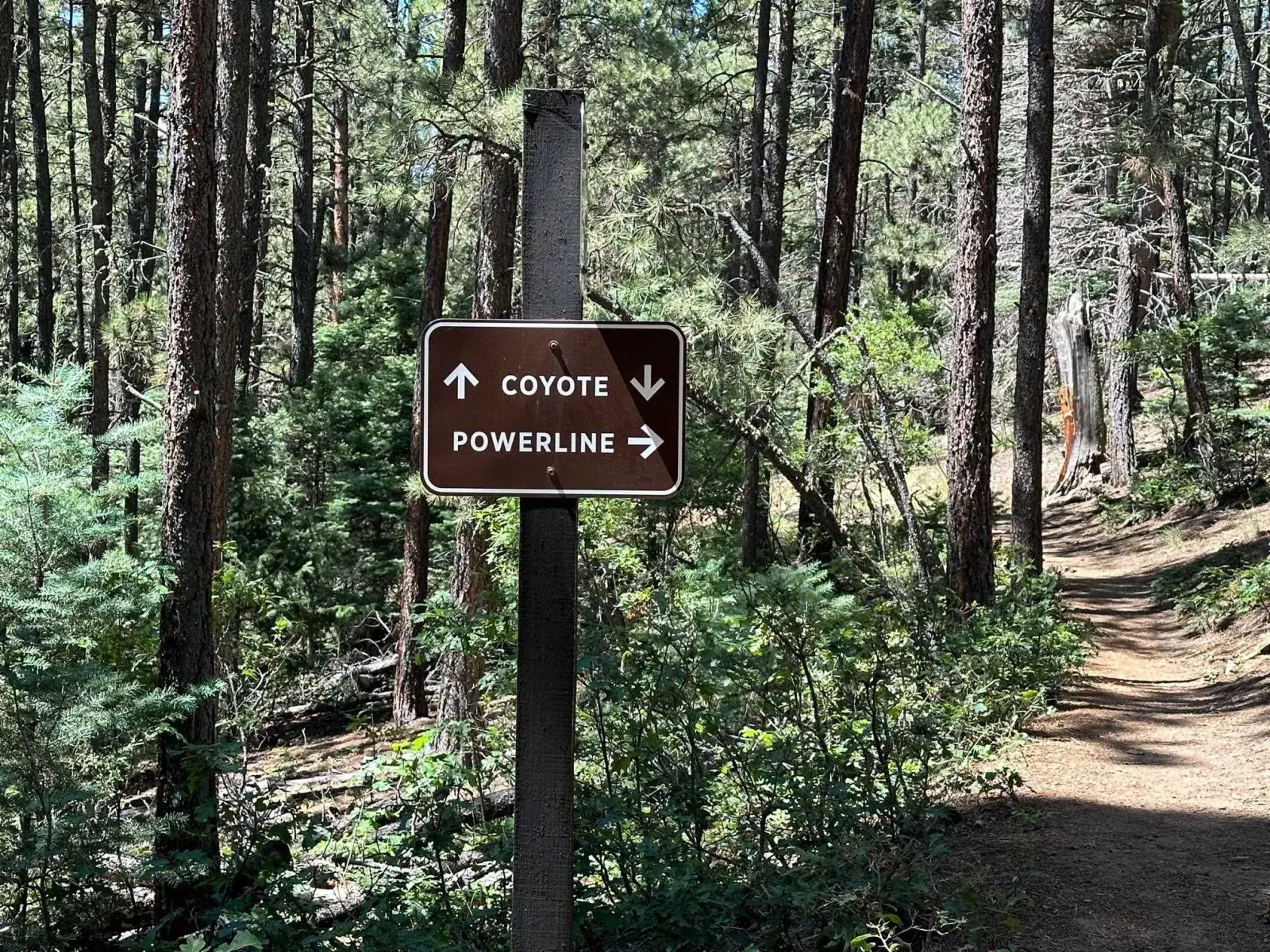 Lot 1195 Chino Terrace