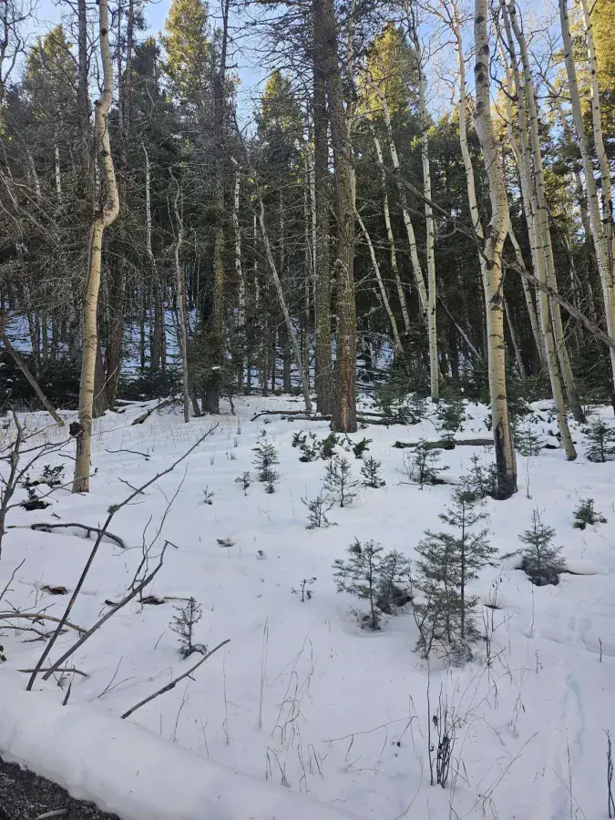 lot 147 chalets back basin rd