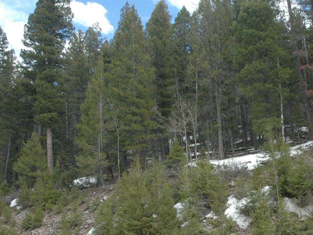 MLS #110158 image #0