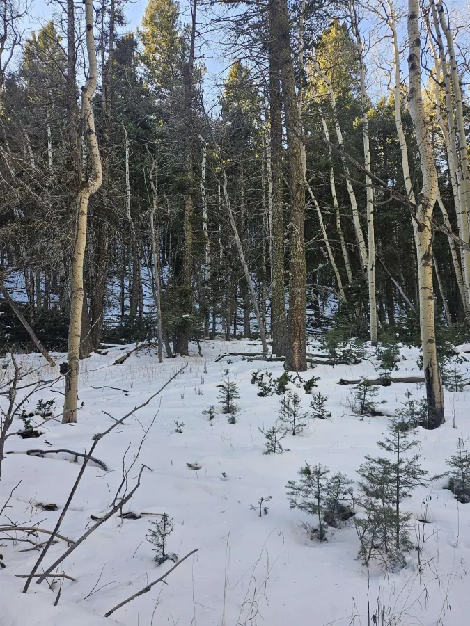 lot 147 chalets back basin rd