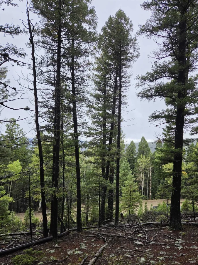 lot 147 chalets back basin rd