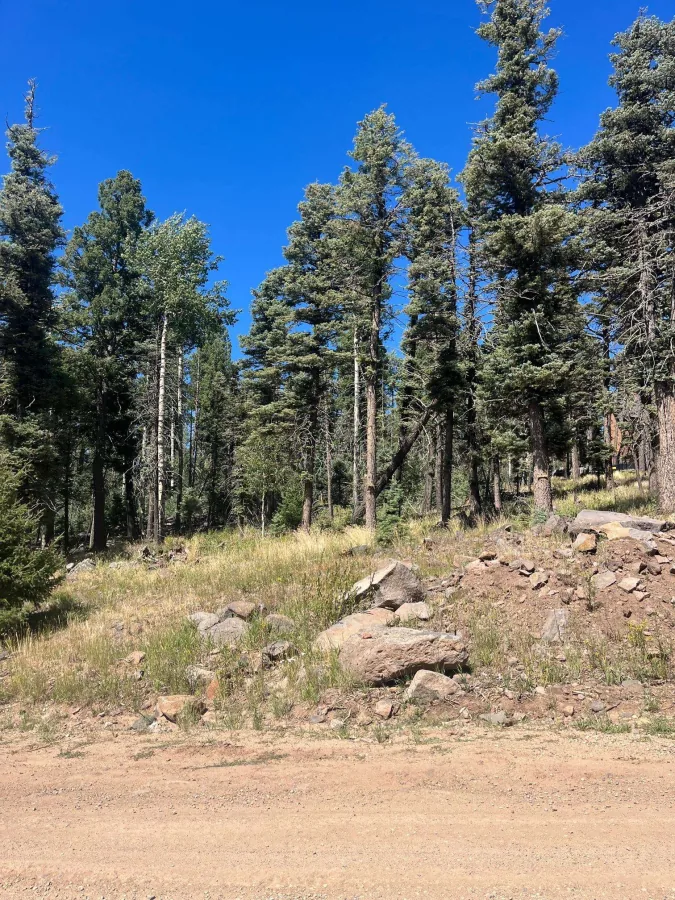 lot 1246 El Camino Real