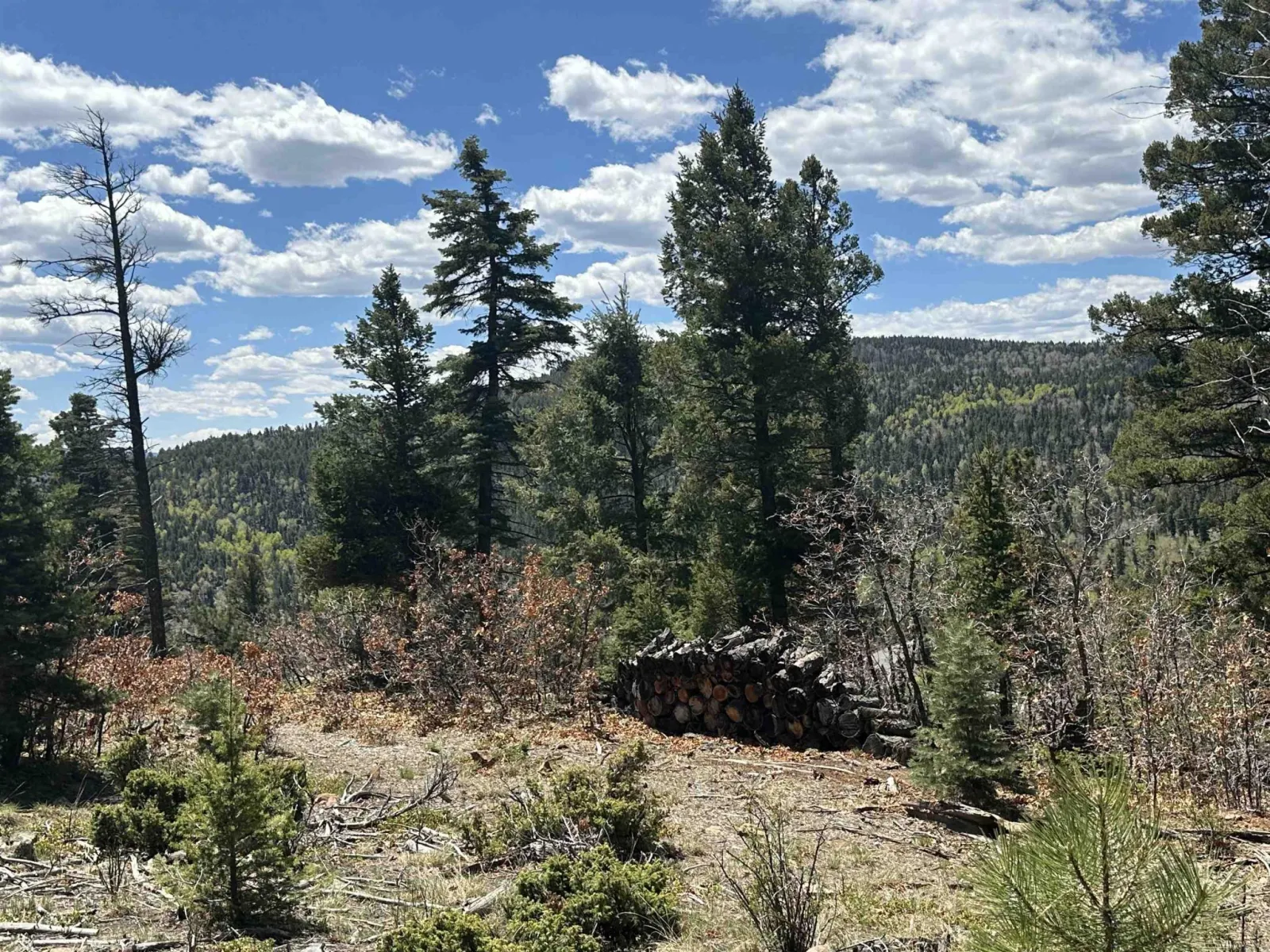 Lots 16 Lot17 Palo Flechado Ridge Road